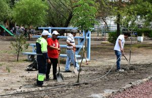 Avanza justicia cívica en Irapuato