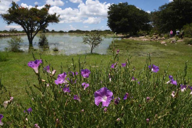 CAPTURA-LA-MAGIA-DE-LA-NATURALEZA