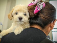 Supera expectativas hospital de mascotas León 450, suma más de 3 mil atenciones